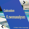Gift Card: Six Swim Analyses