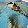 Arena Carbon Tri Wetsuit 1 - Image 4